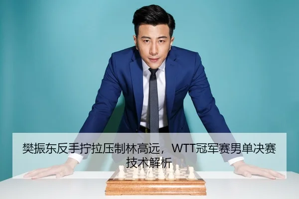 樊振东反手拧拉压制林高远，WTT冠军赛男单决赛技术解析