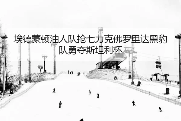 埃德蒙顿油人队抢七力克佛罗里达黑豹队勇夺斯坦利杯