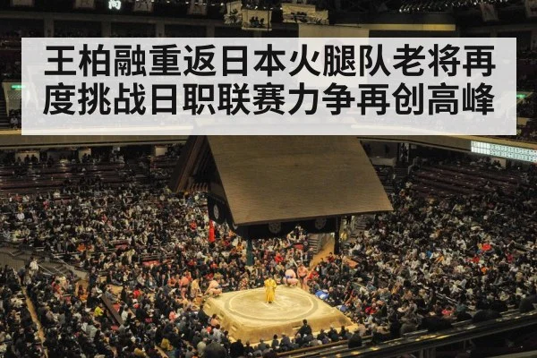 Nippon Ham Fighters stadium