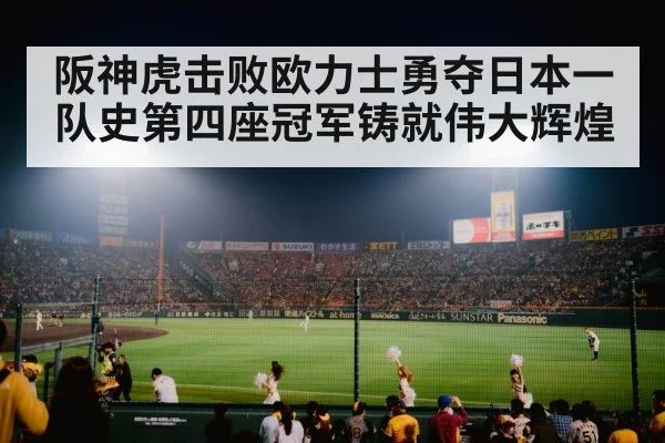 baseball stadium night game