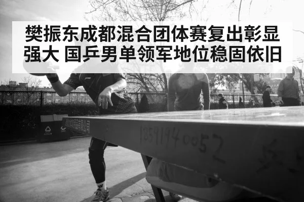 樊振东成都混合团体赛复出彰显强大 国乒男单领军地位稳固依旧