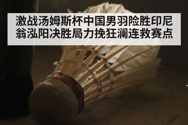 激战汤姆斯杯中国男羽险胜印尼 翁泓阳决胜局力挽狂澜连救赛点